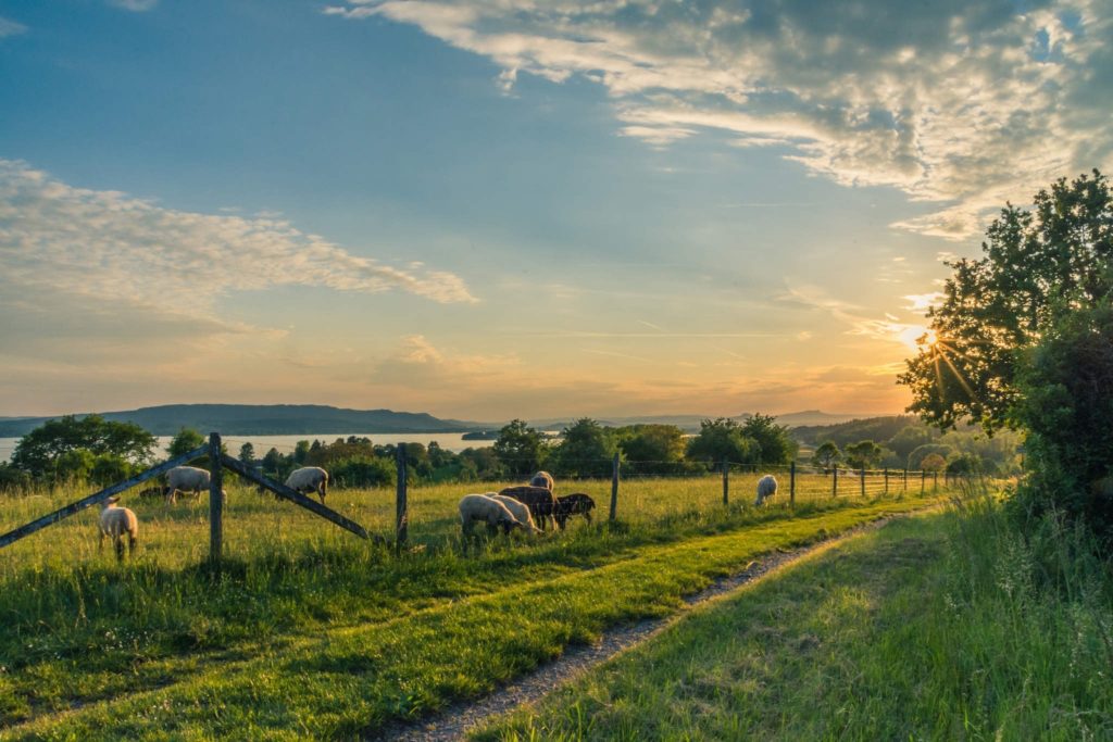 countryside-cropland-dawn-158179 countryside-cropland-dawn-158179